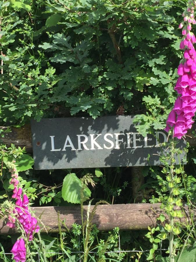 欧克汉普敦Larksfield Loft公寓 外观 照片